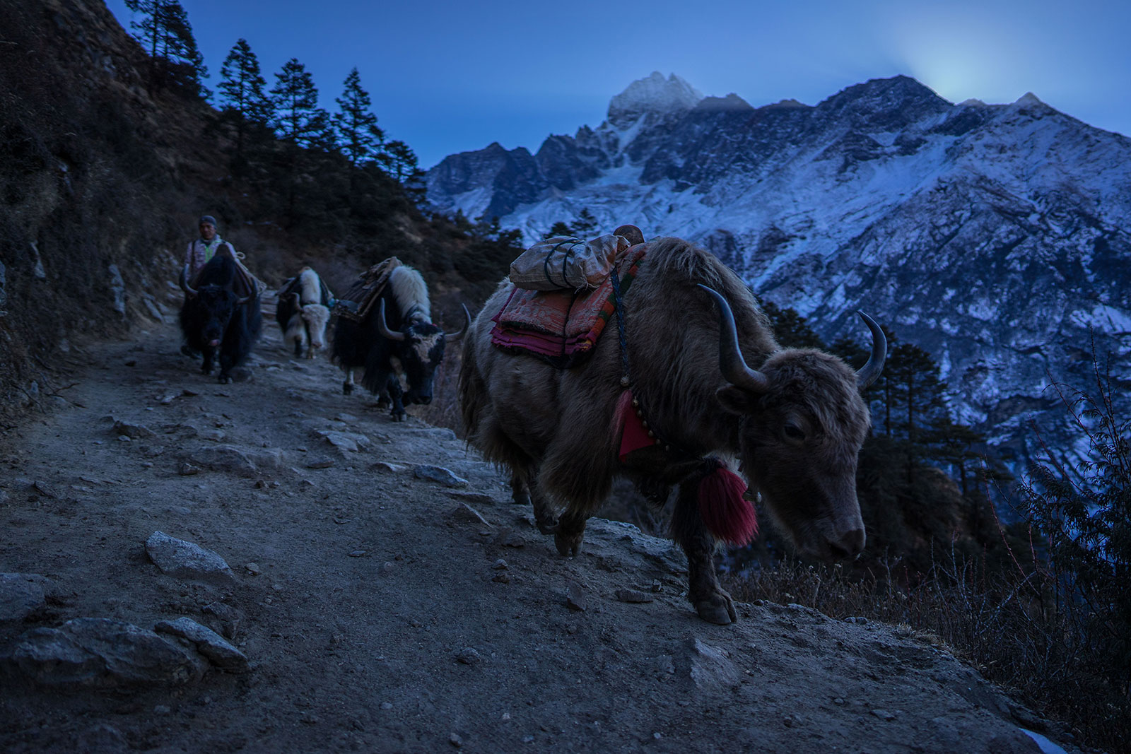 Everest-Base-Camp-Trek-3