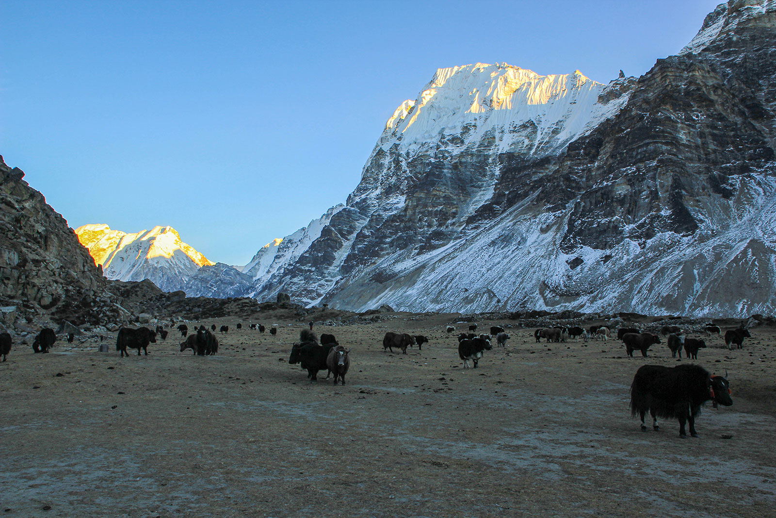 Kanchenjunga-Base-Camp-Trek-16