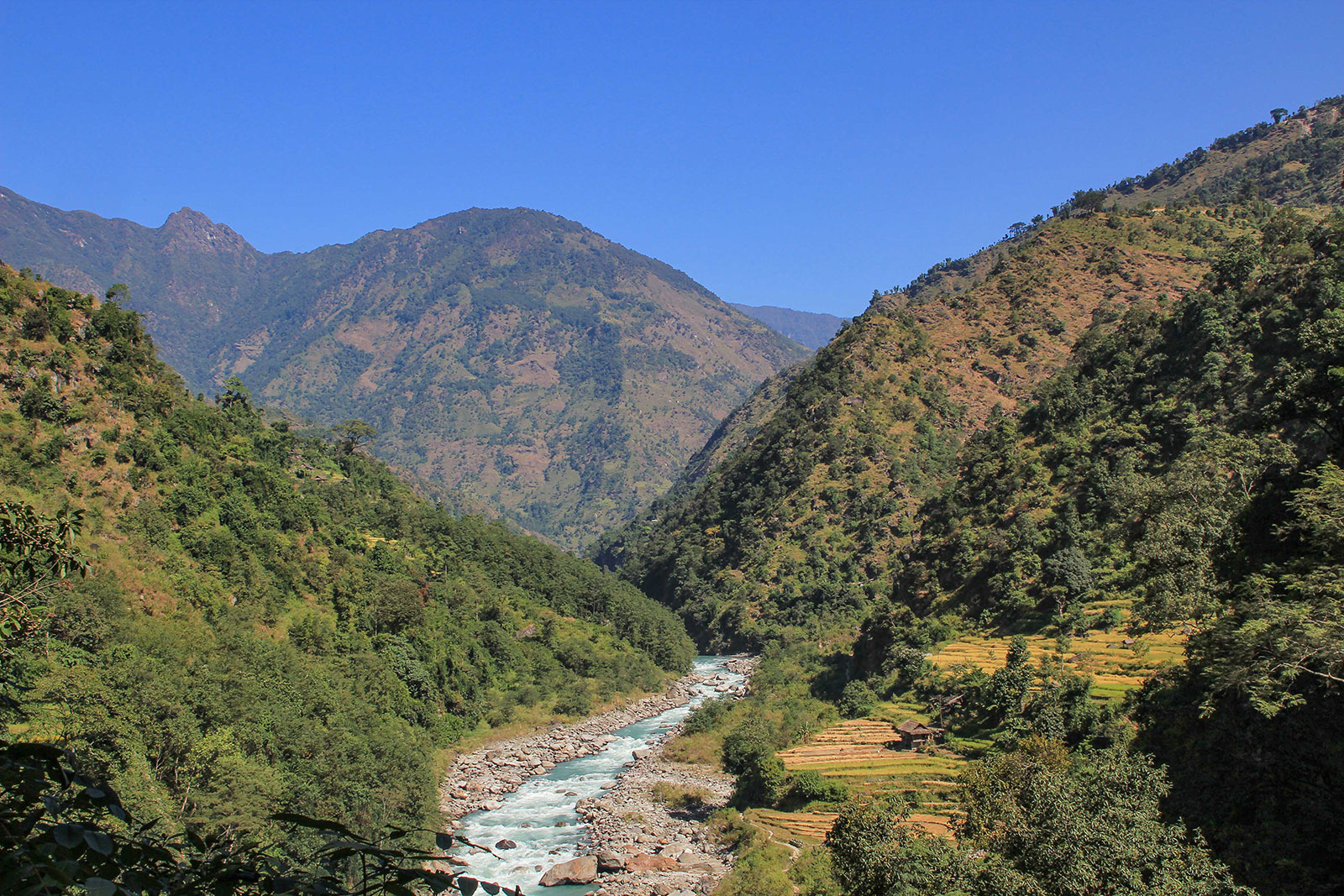 Kanchenjunga-Base-Camp-Trek-3