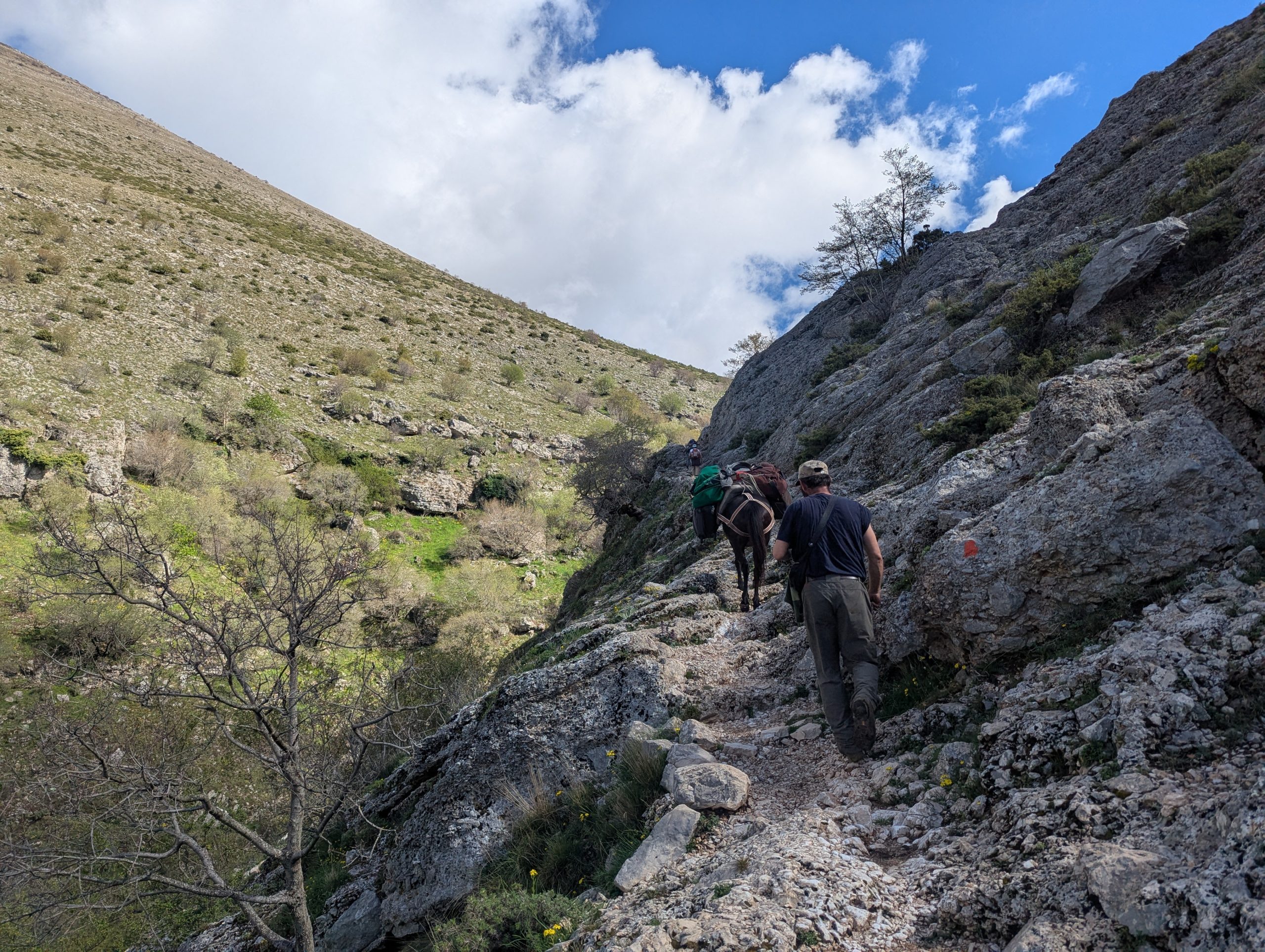 Zagoria Valley