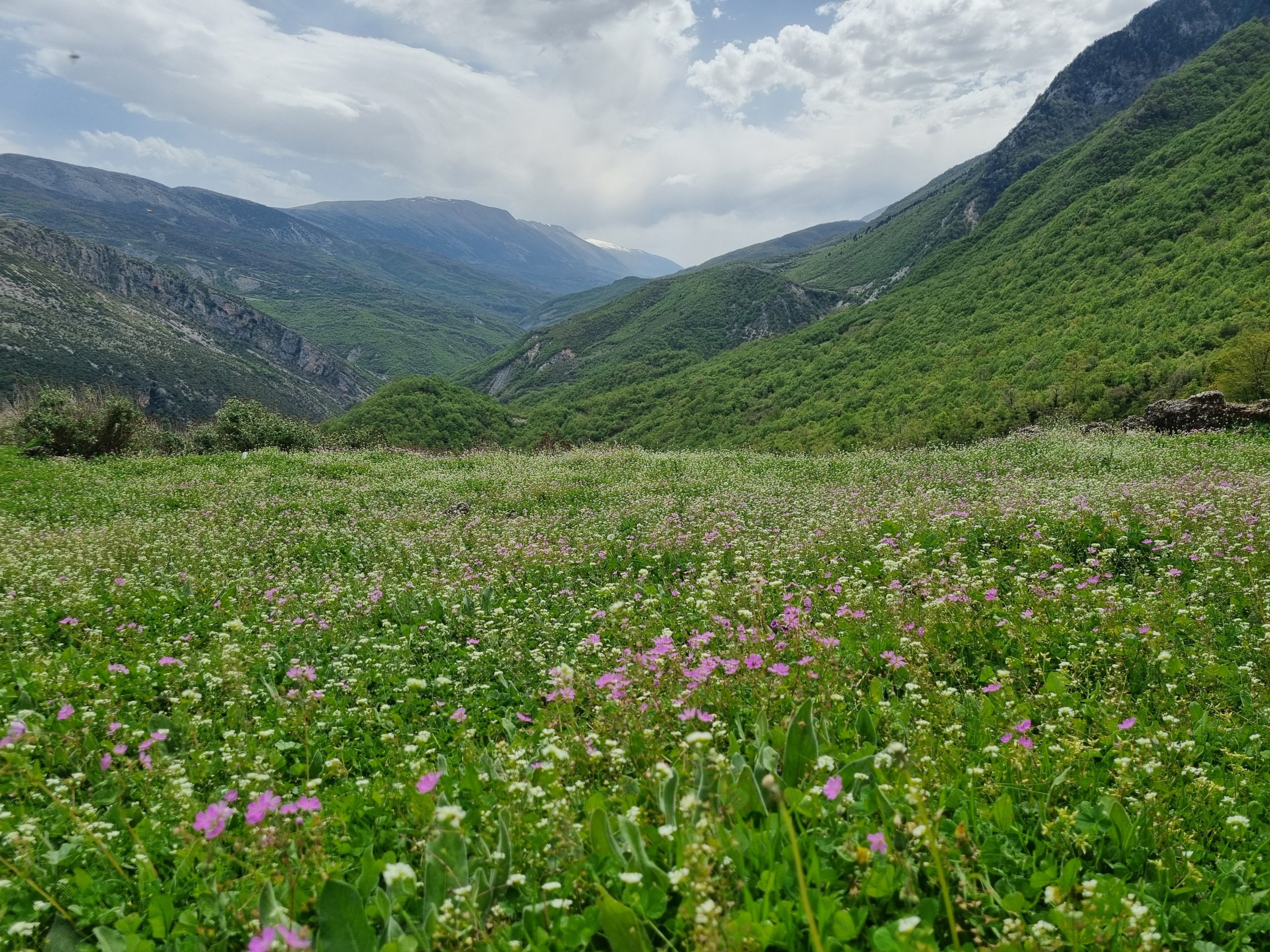 Zagoria Valley